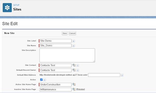 Salesforce Sites: How To Set Up Salesforce Sites?