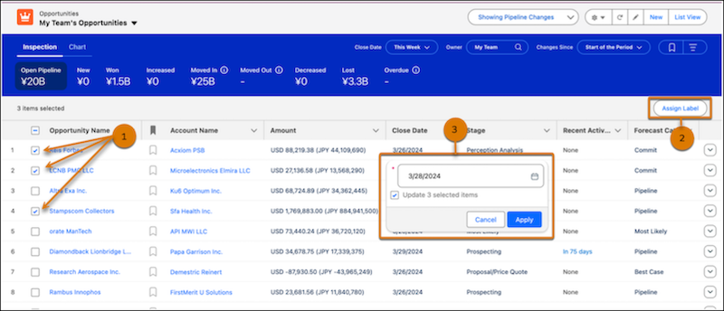 Standard and Custom List View Actions in Pipeline Inspection:
