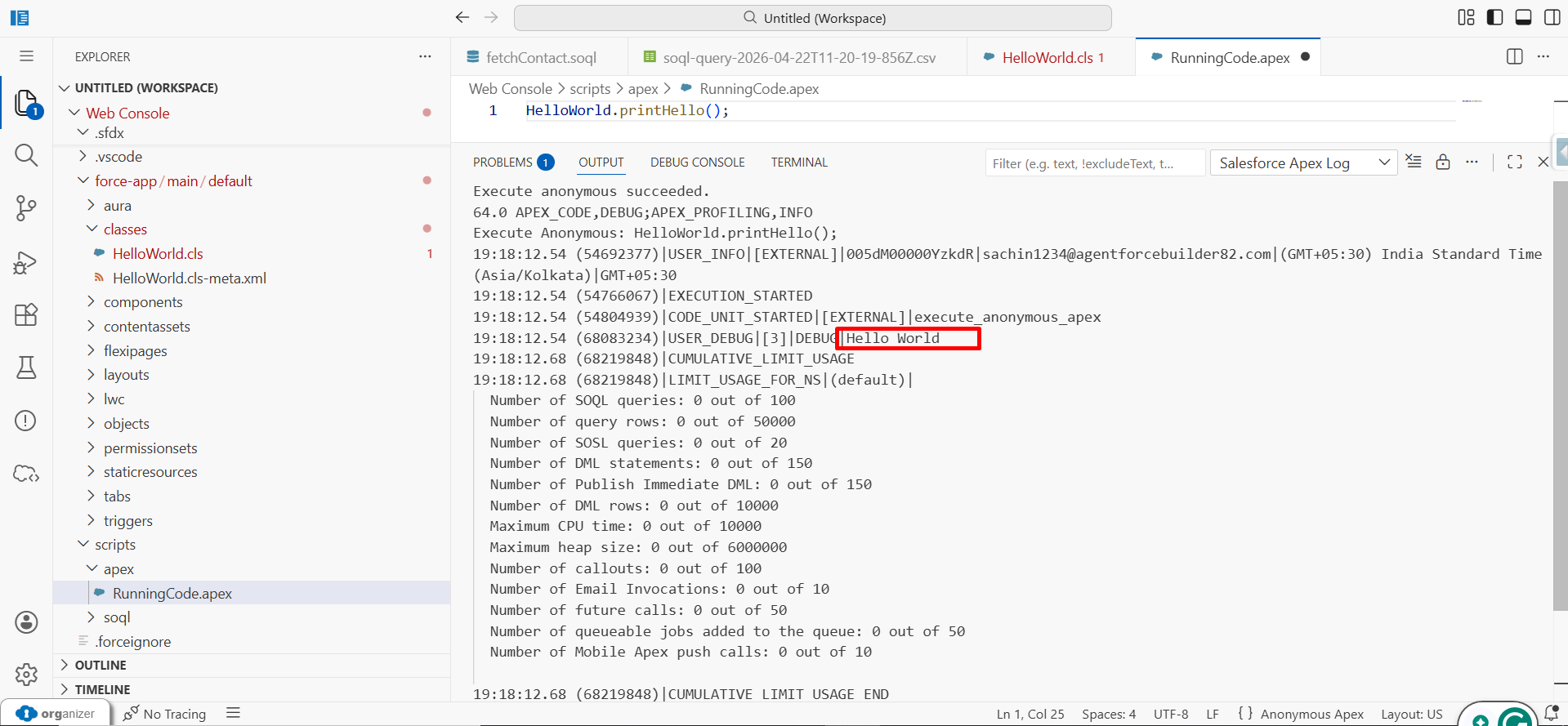 Execute an Anonymous Script.1